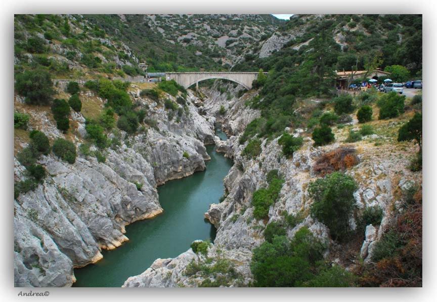 Magnifique Villa Typique Du Sud Avec Piscine Privee Et Jardin Mediterraneen Saint-Vincent-de-Barbeyrargues Экстерьер фото