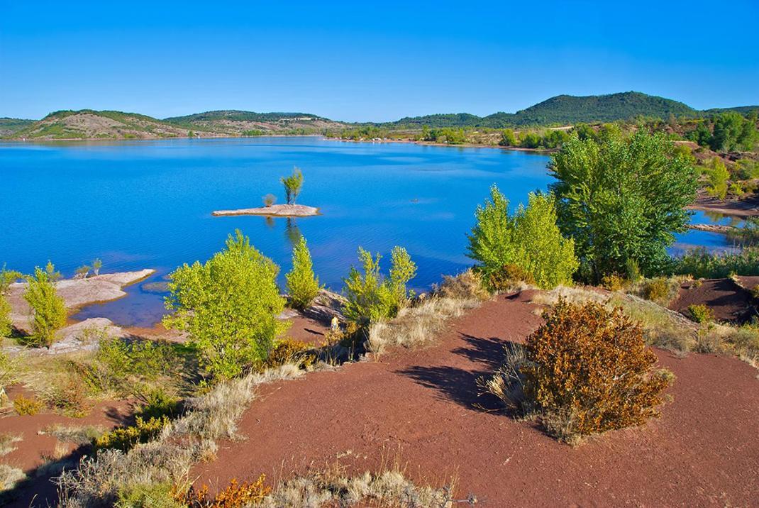 Magnifique Villa Typique Du Sud Avec Piscine Privee Et Jardin Mediterraneen Saint-Vincent-de-Barbeyrargues Экстерьер фото